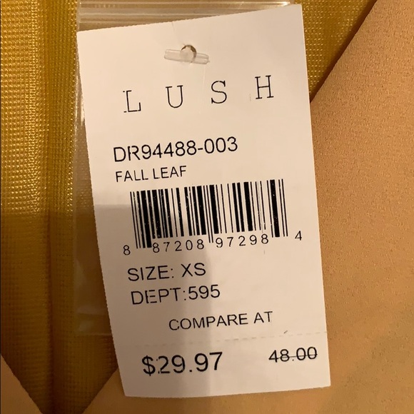 LUSH Dress. - Picture 3 of 3